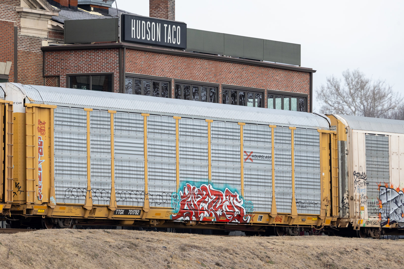TTGX 701782