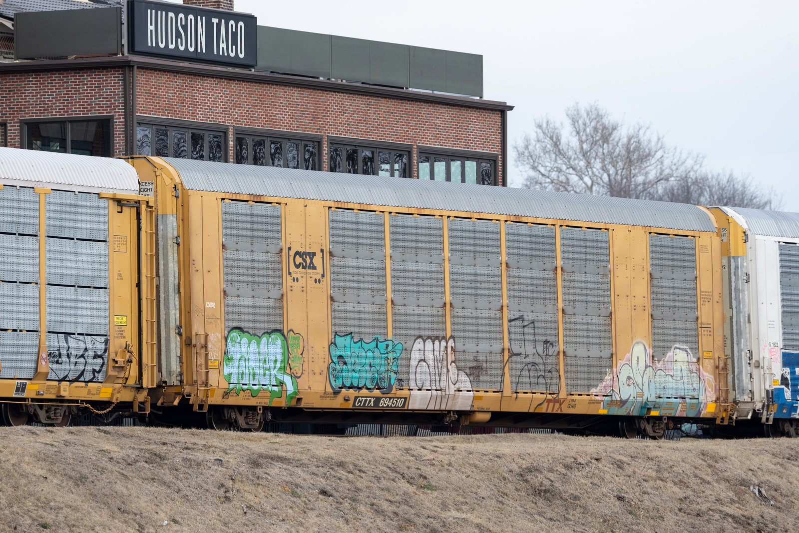CTTX 694510