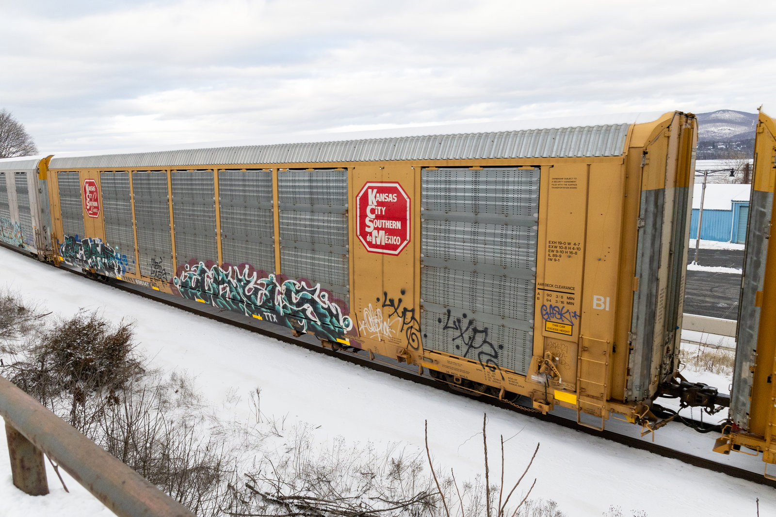 TTGX 696147