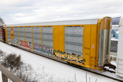 TTGX 699151