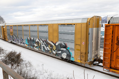 TTGX 821626