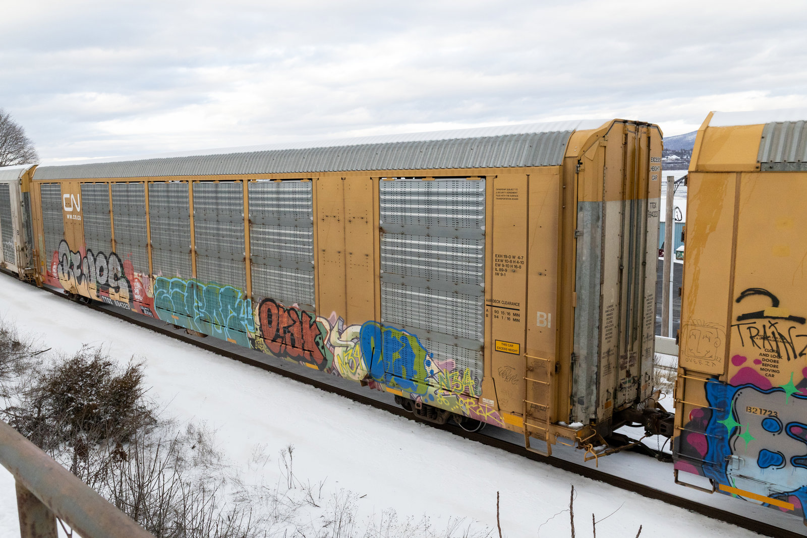 TTGX 694323