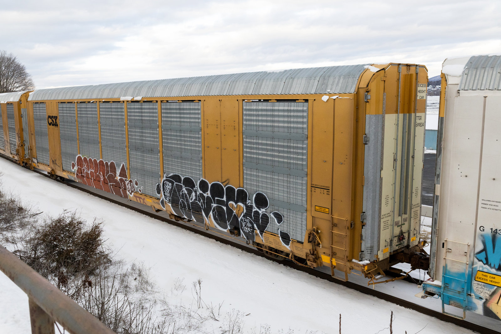 TTGX 699834