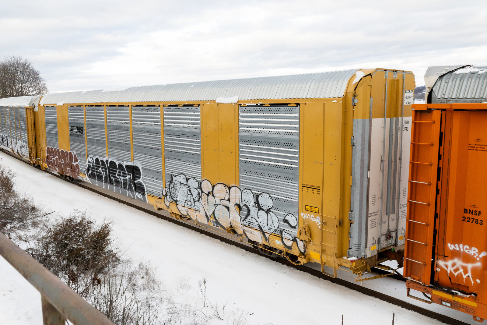 TTGX 823743