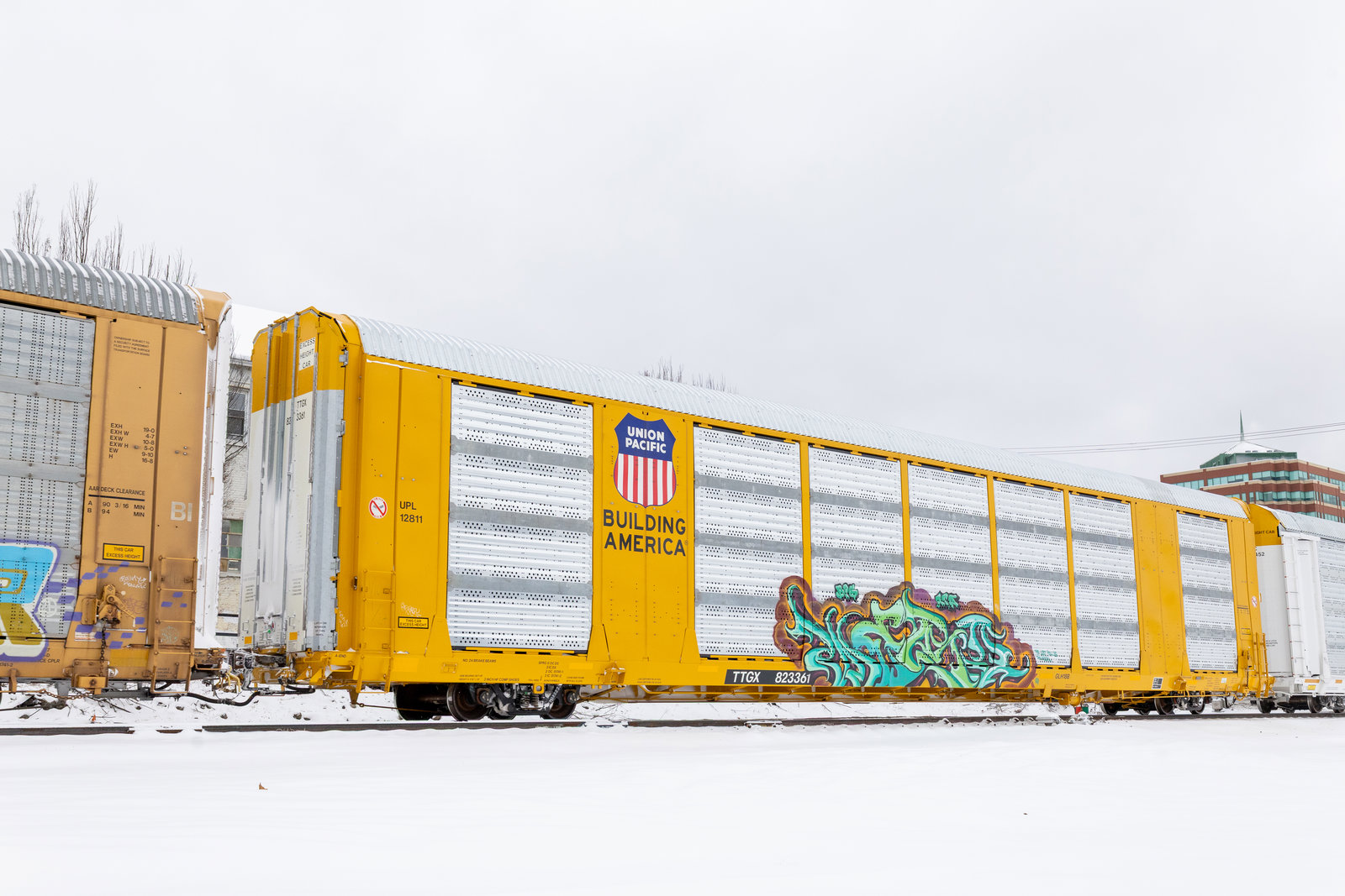 TTGX 823361