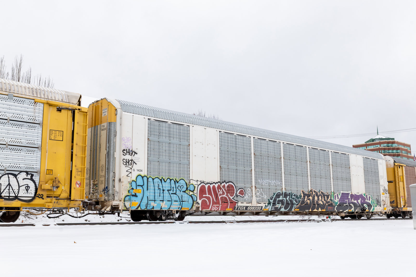 TTGX 698330