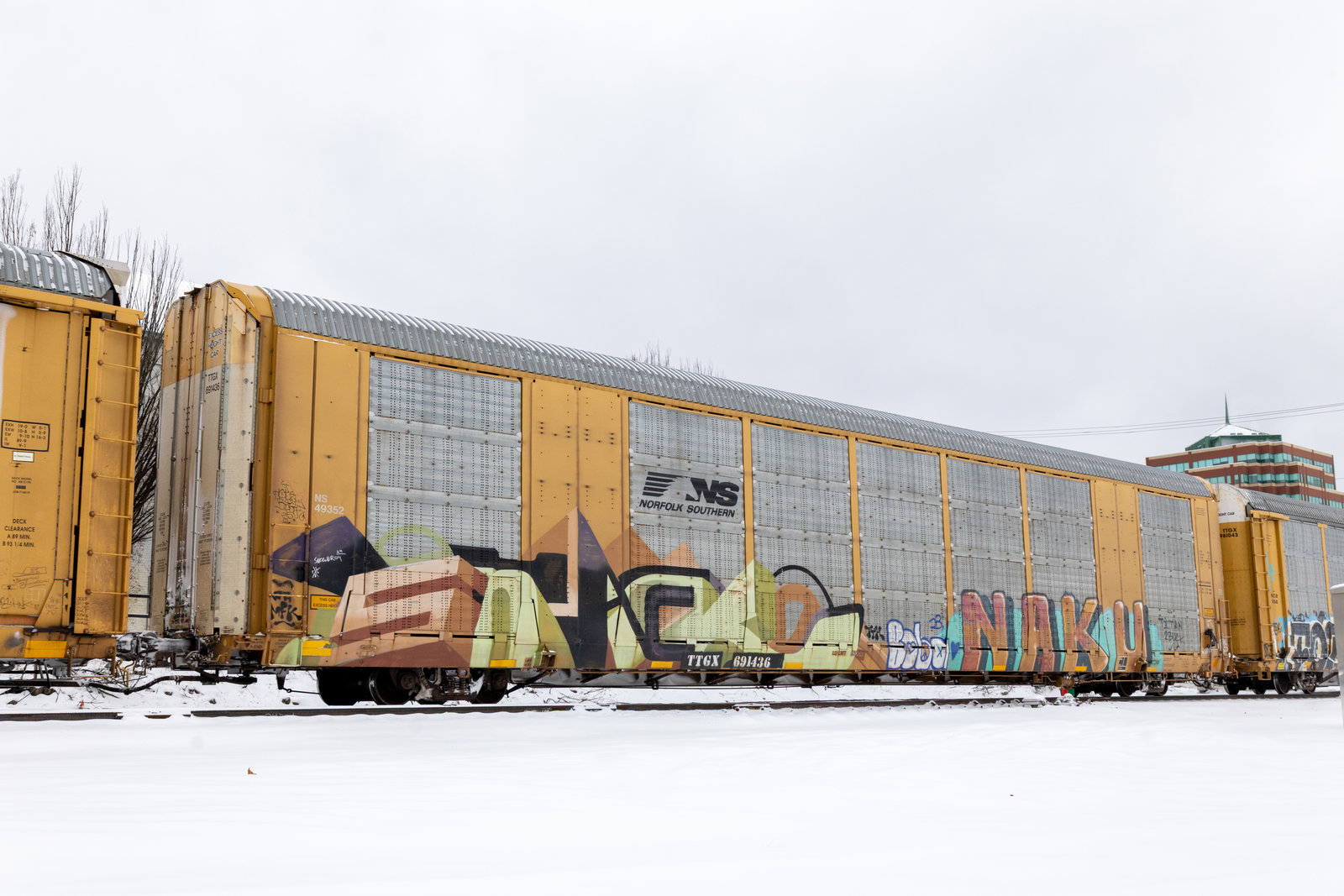 TTGX 691436