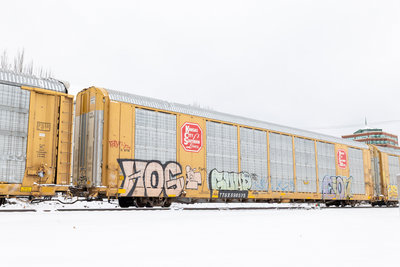 TTGX 696575