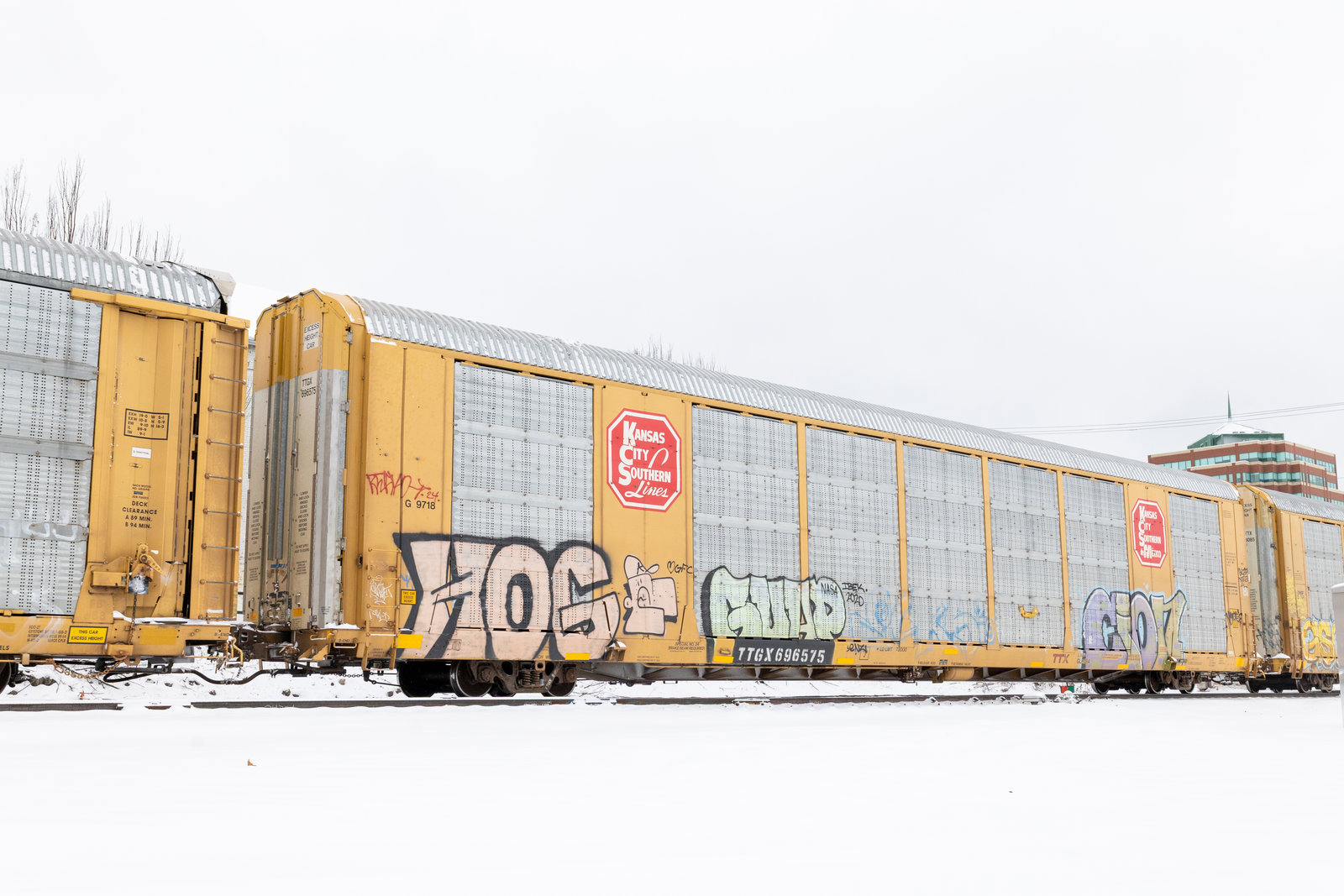 TTGX 696575