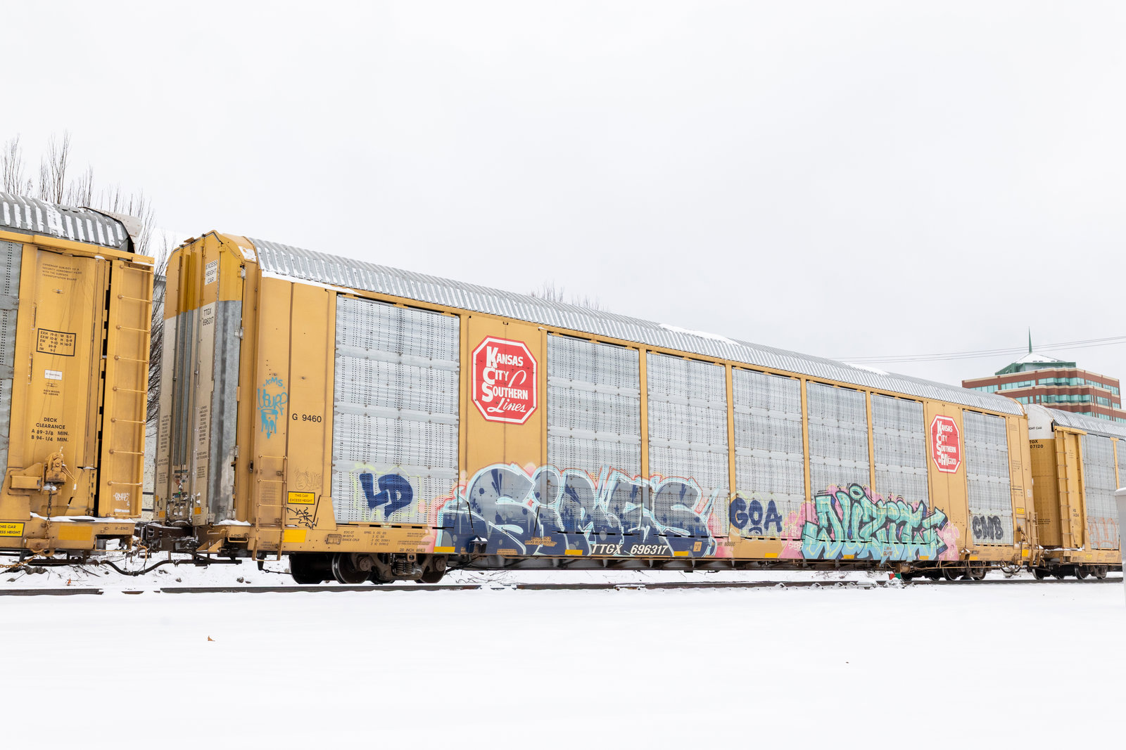 TTGX 696317