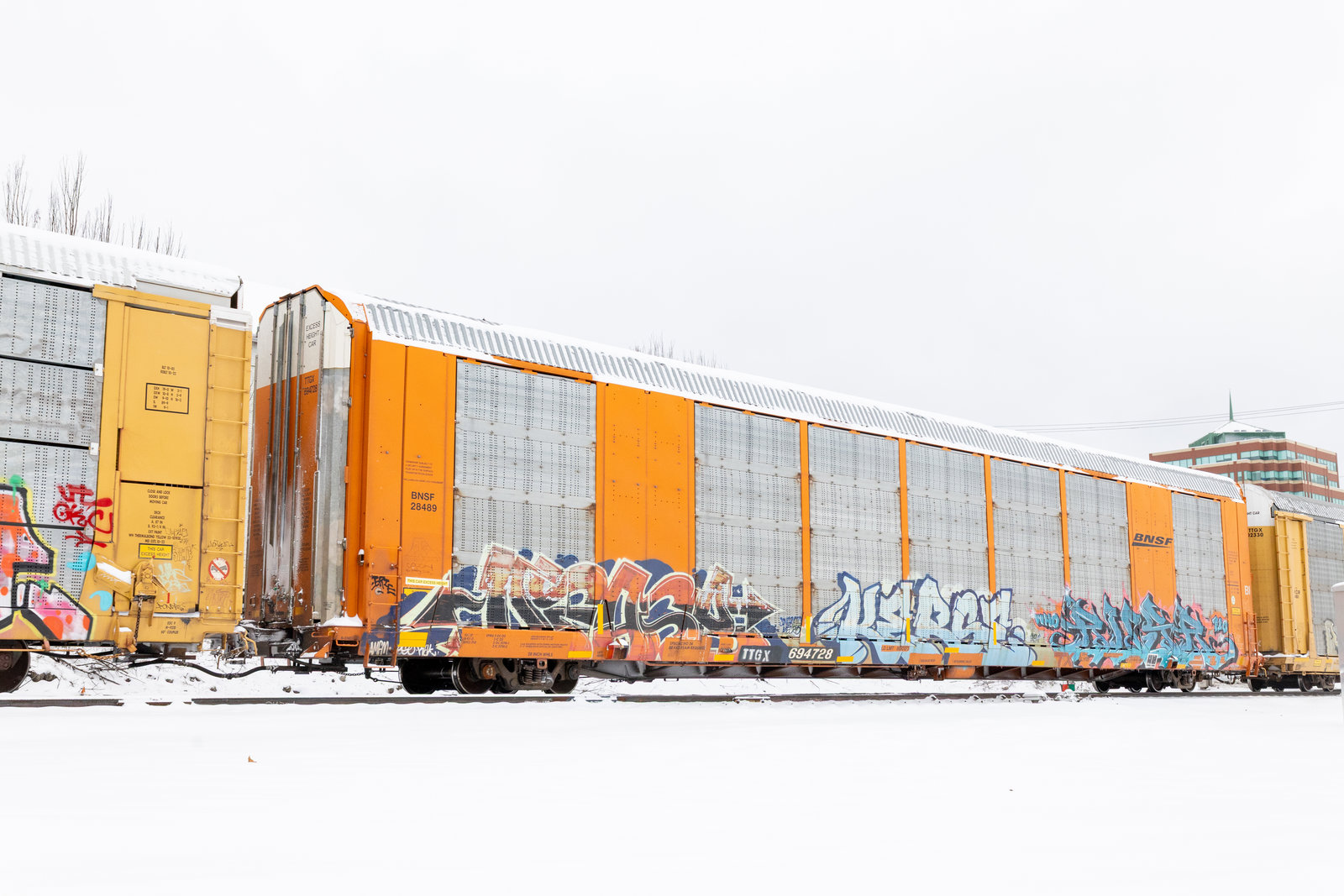 TTGX 694728