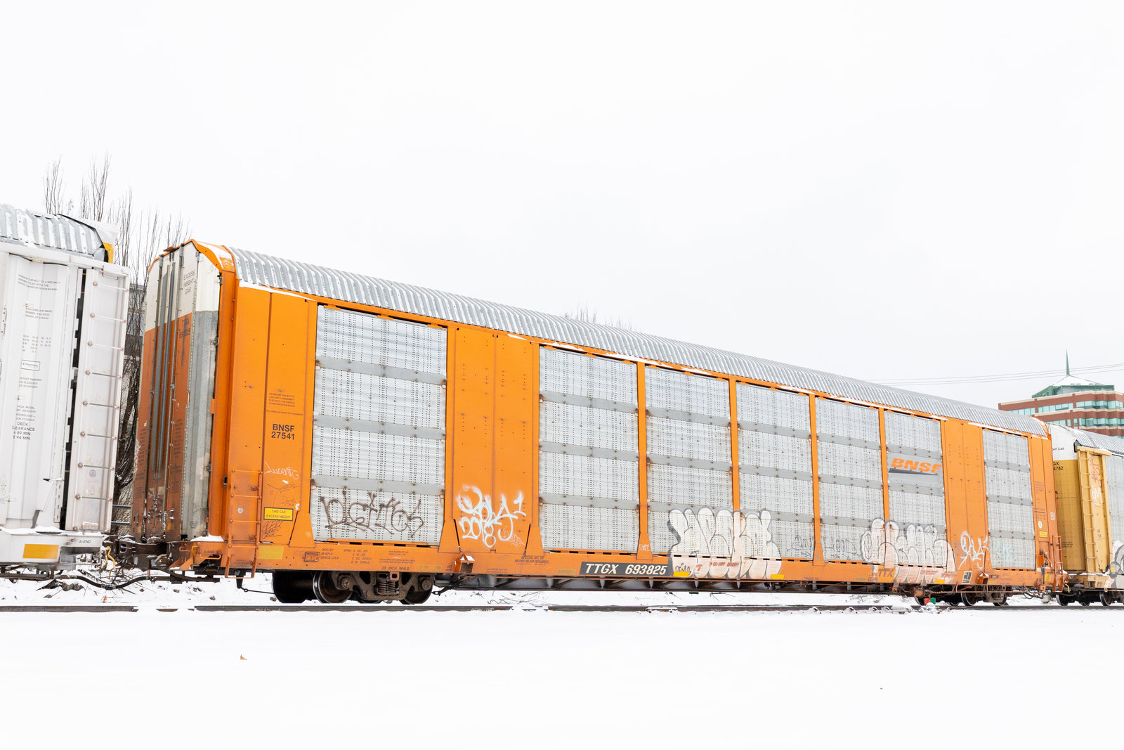 TTGX 693825