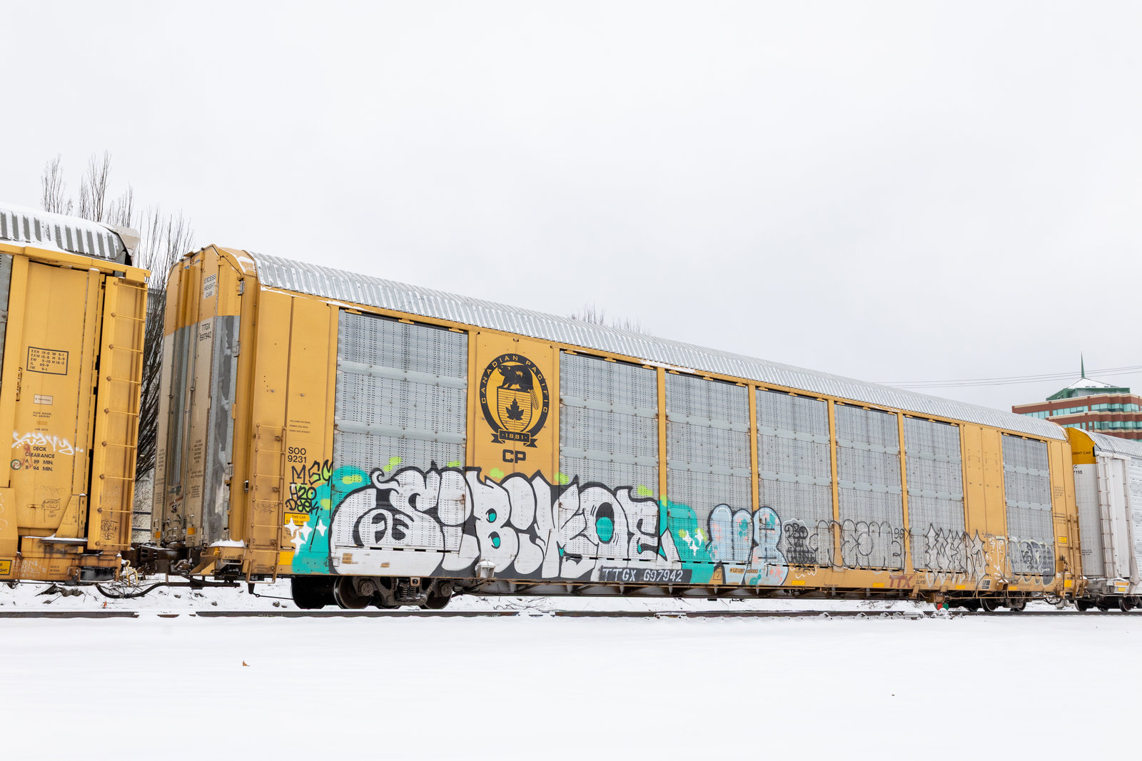 TTGX 697942