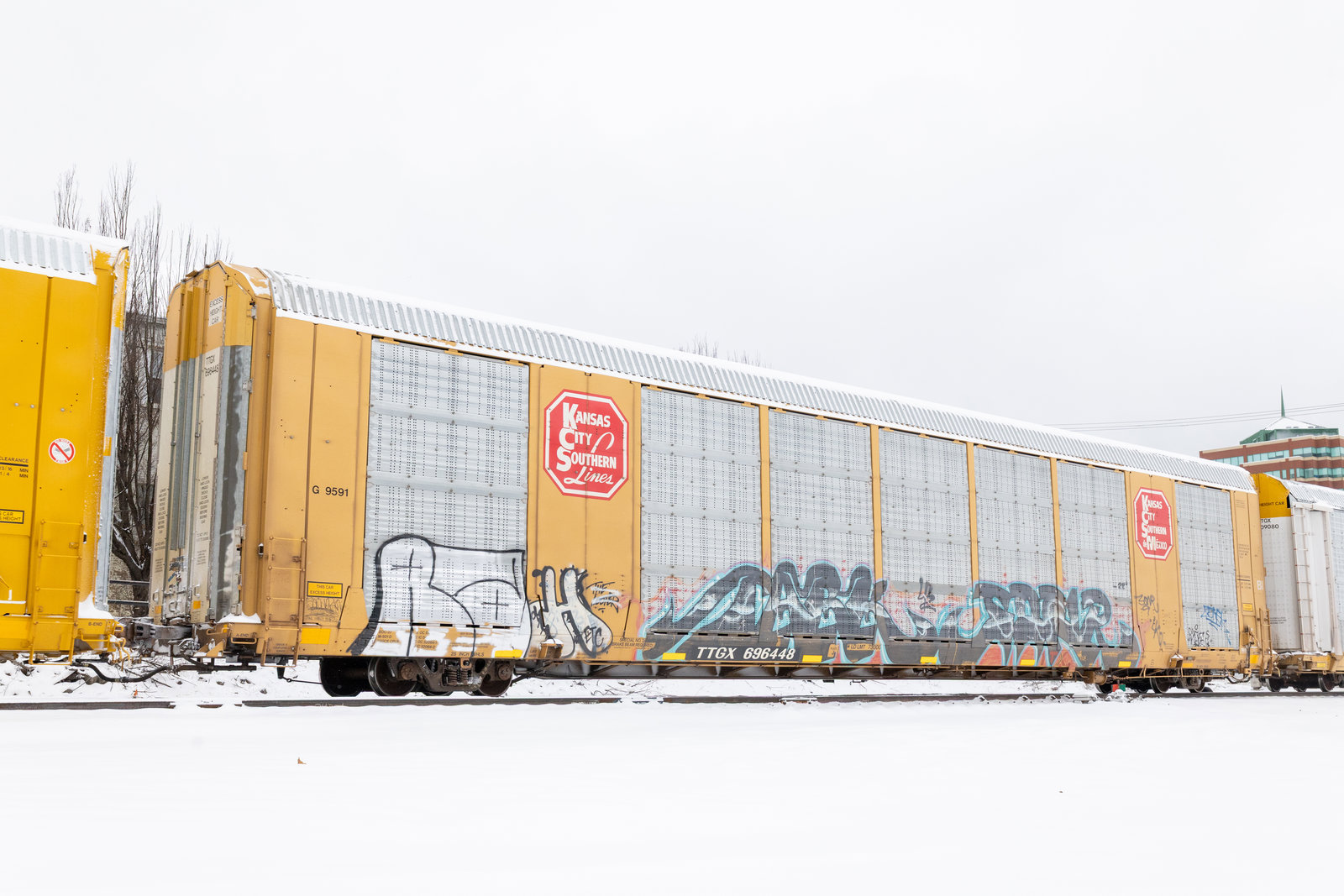 TTGX 696448