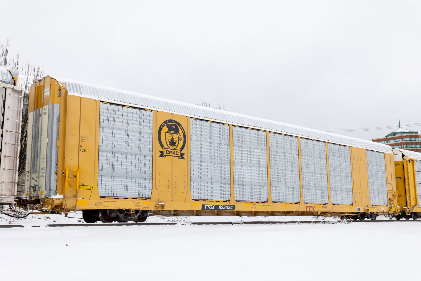 TTGX 823034