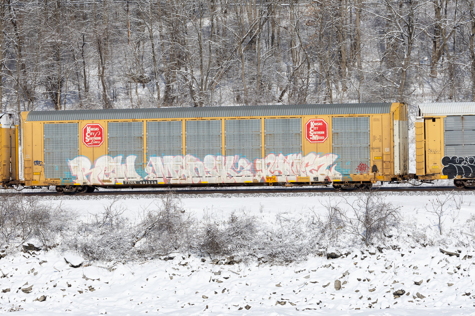 TTGX 691259