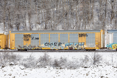 TTGX 691554