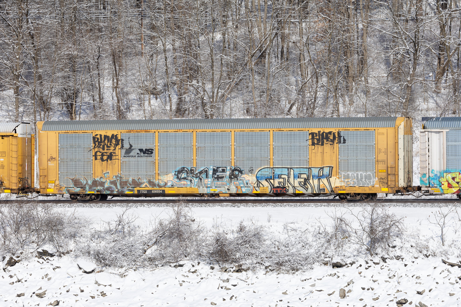 TTGX 691554