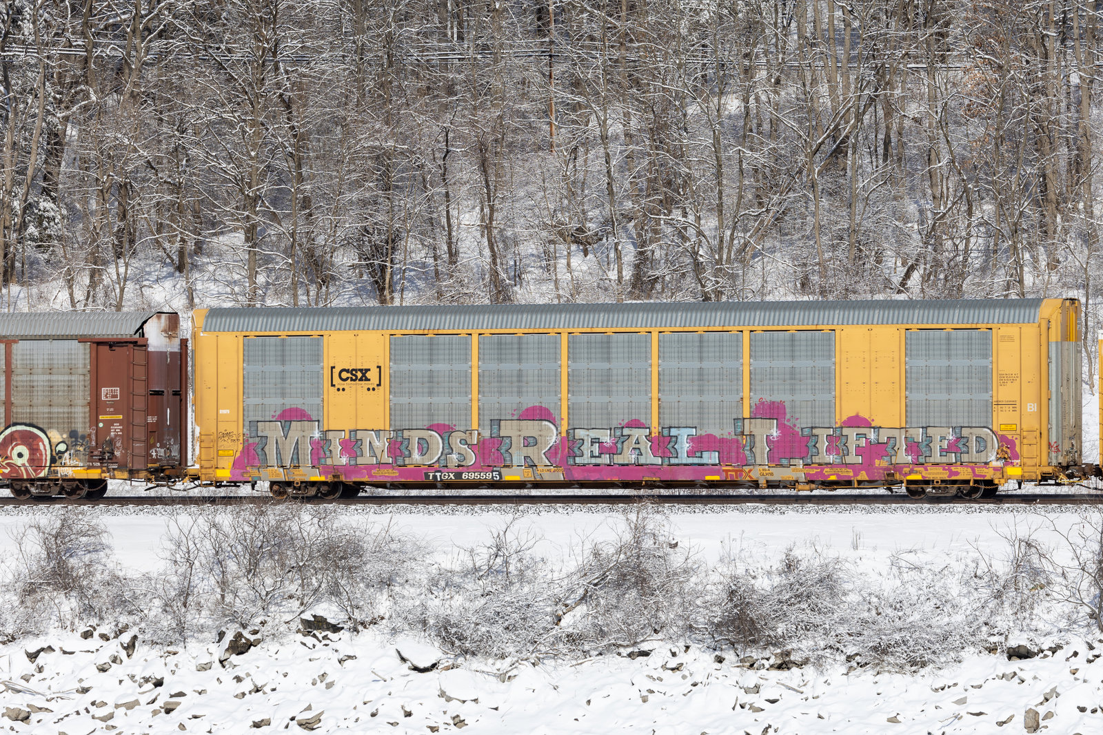 TTGX 695595