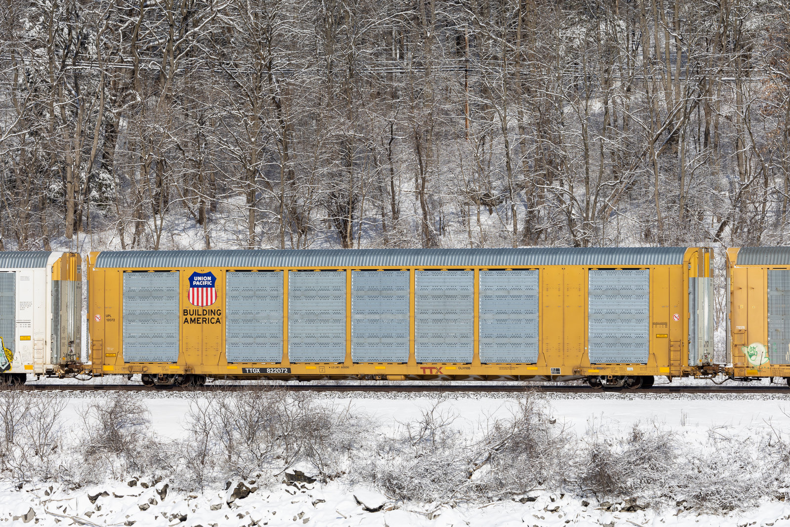 TTGX 822072
