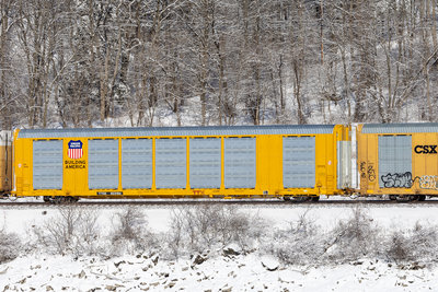 TTGX 823186