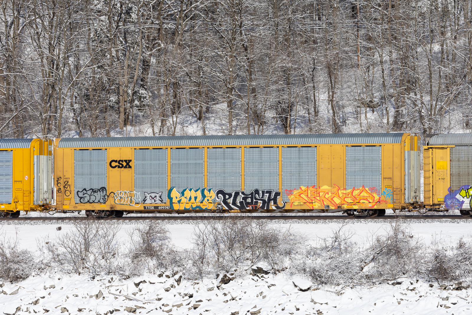 TTGX 699747