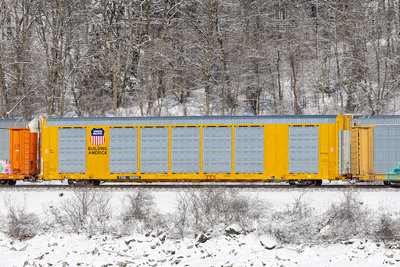 TTGX 823193