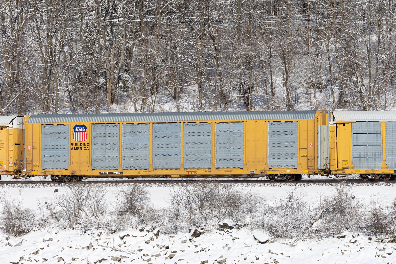 TTGX 821833