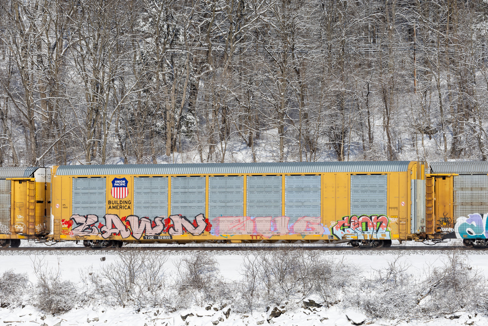 TTGX 821855