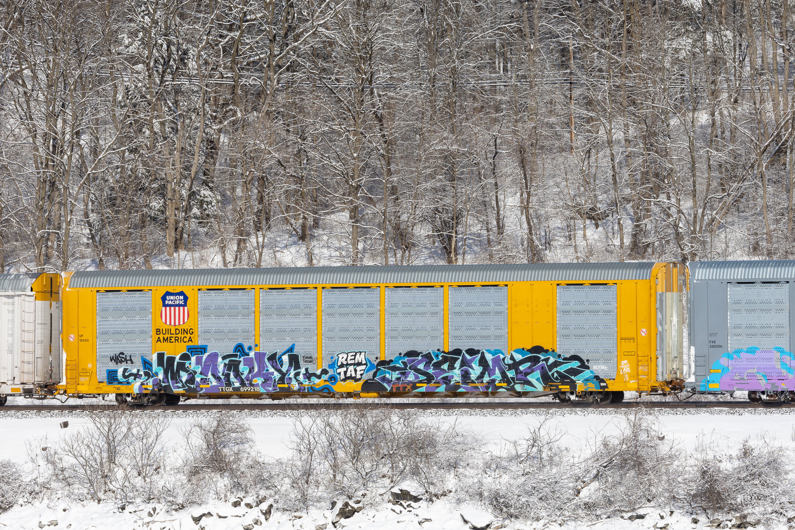 TTGX 699218