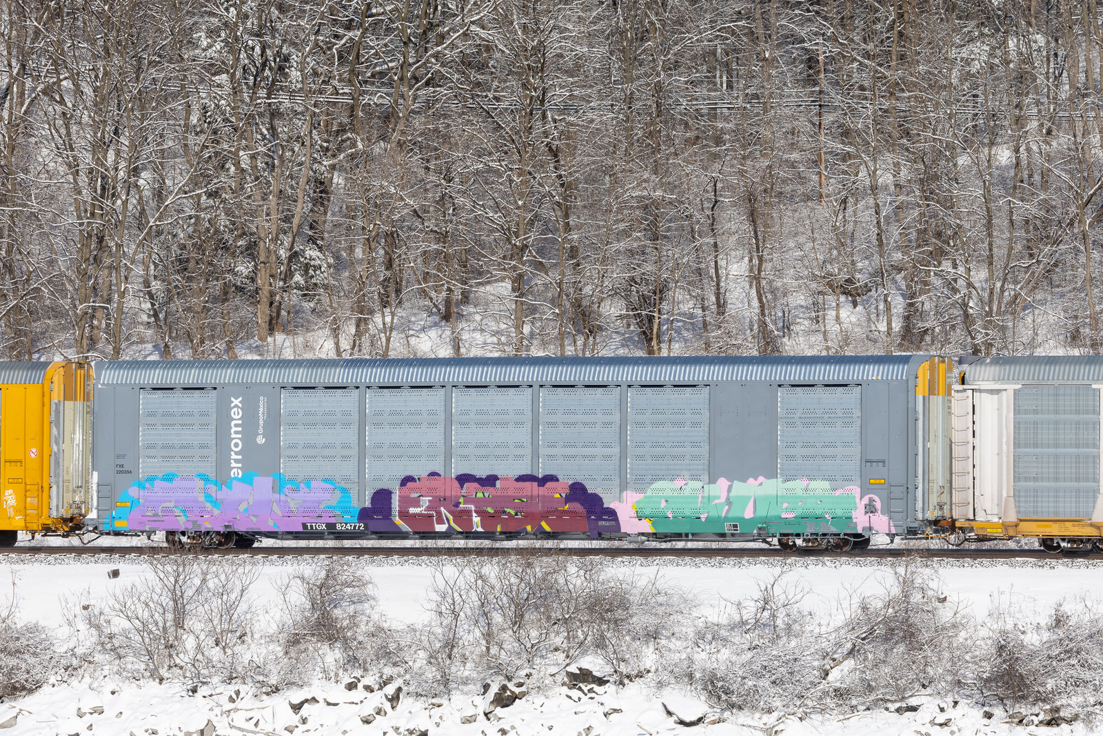 TTGX 824772