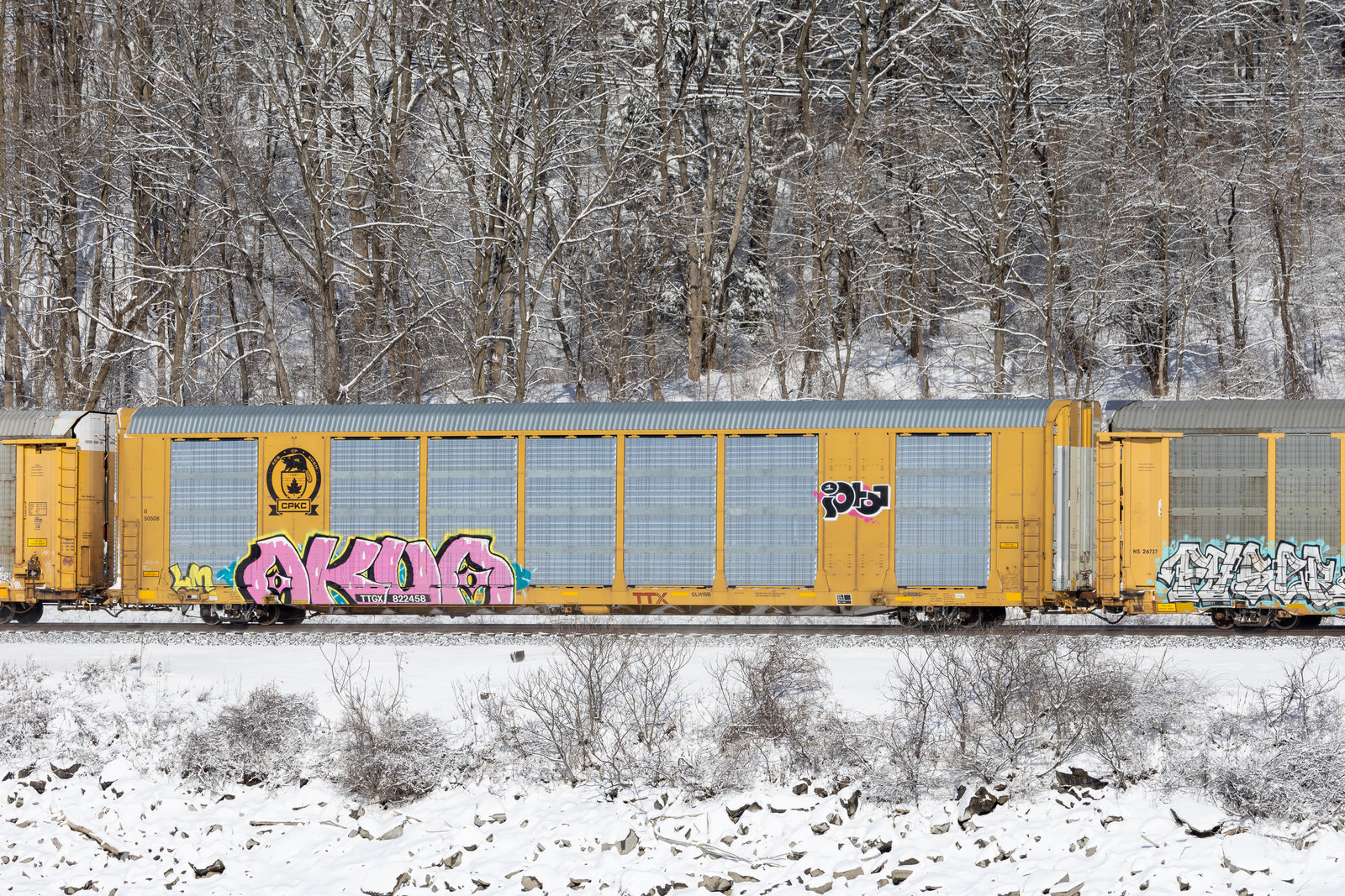 TTGX 822458