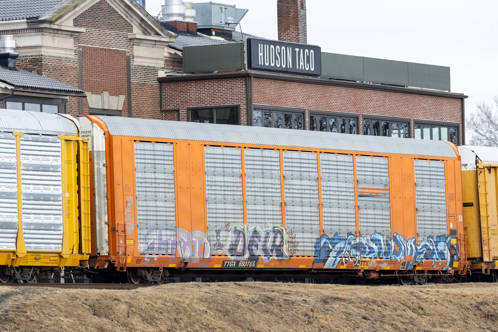 TTGX 693705