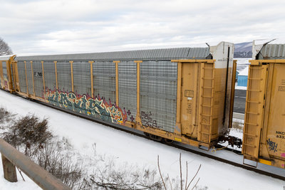 TTGX 704899