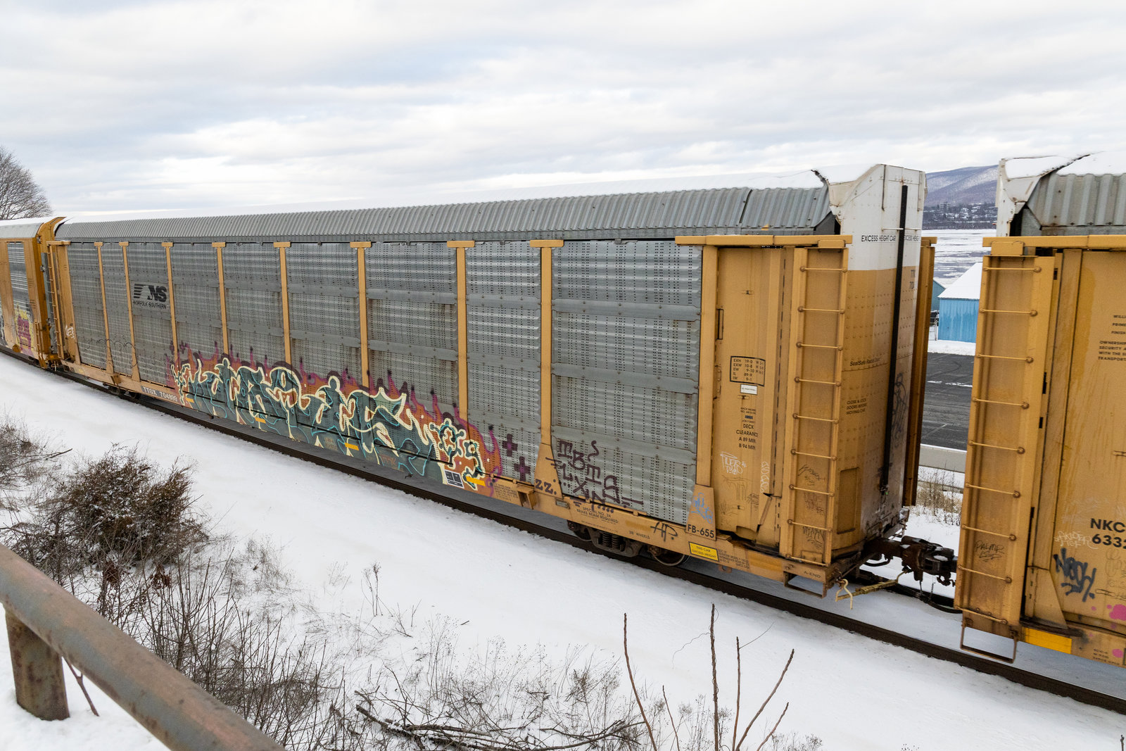 TTGX 704899