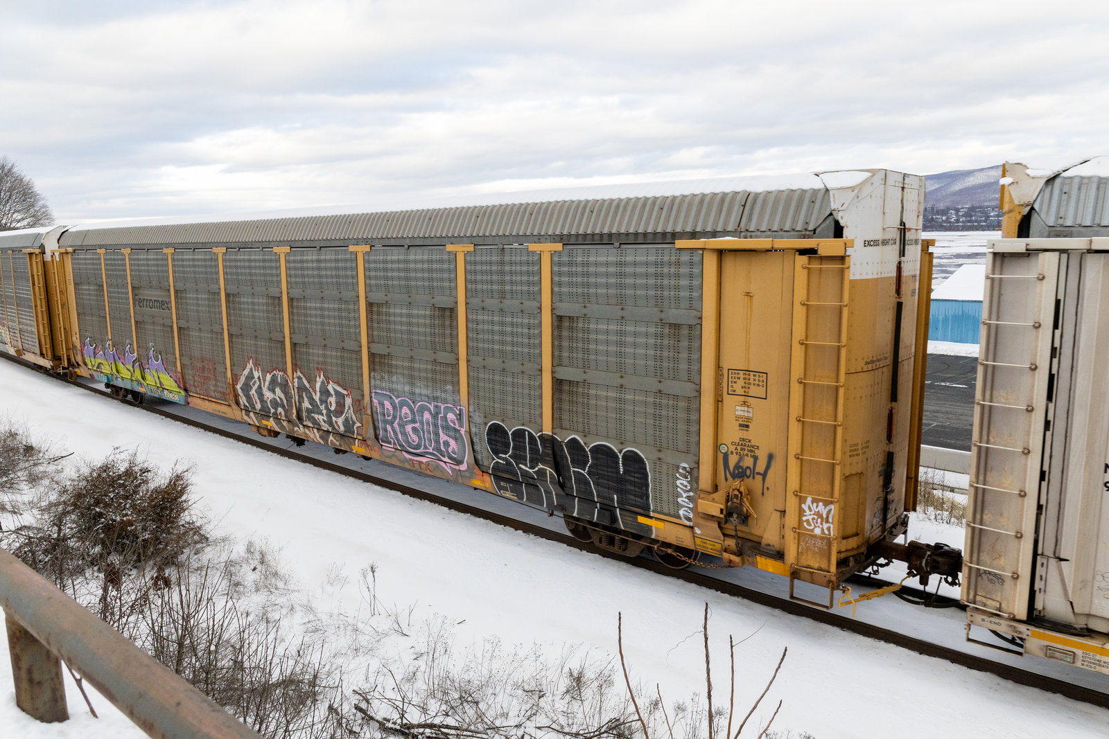 TTGX 159638