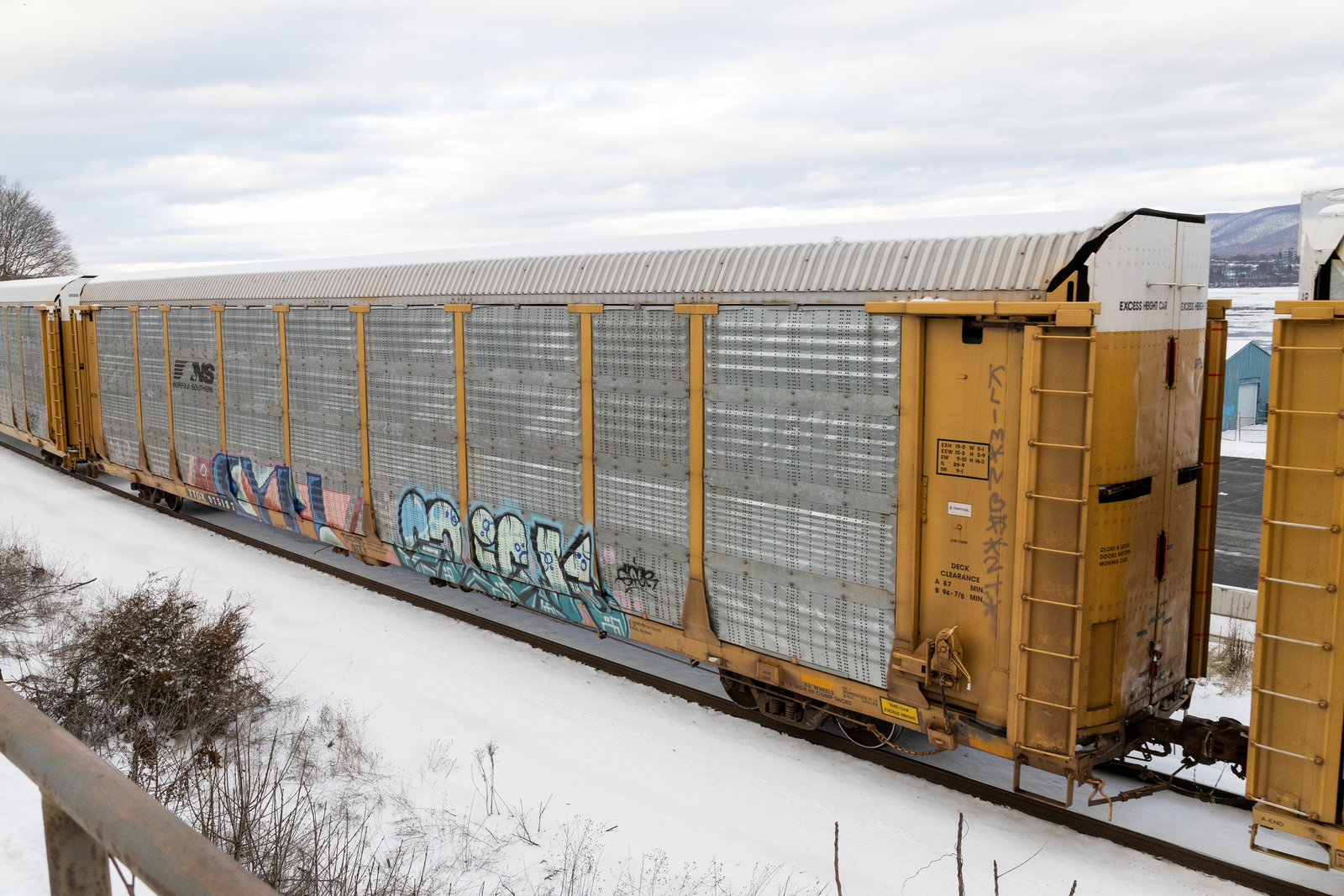 TTGX 975187