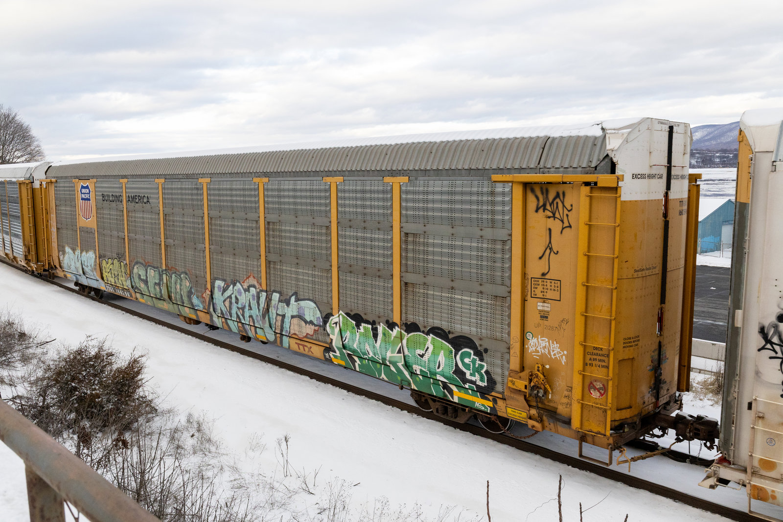TTGX 160596
