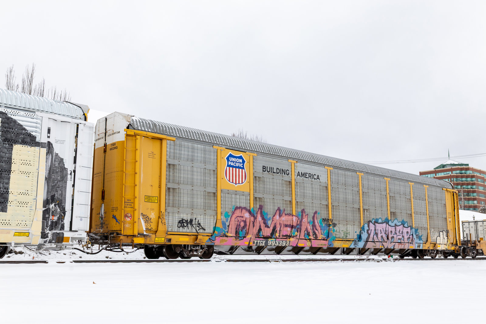 TTGX 993393