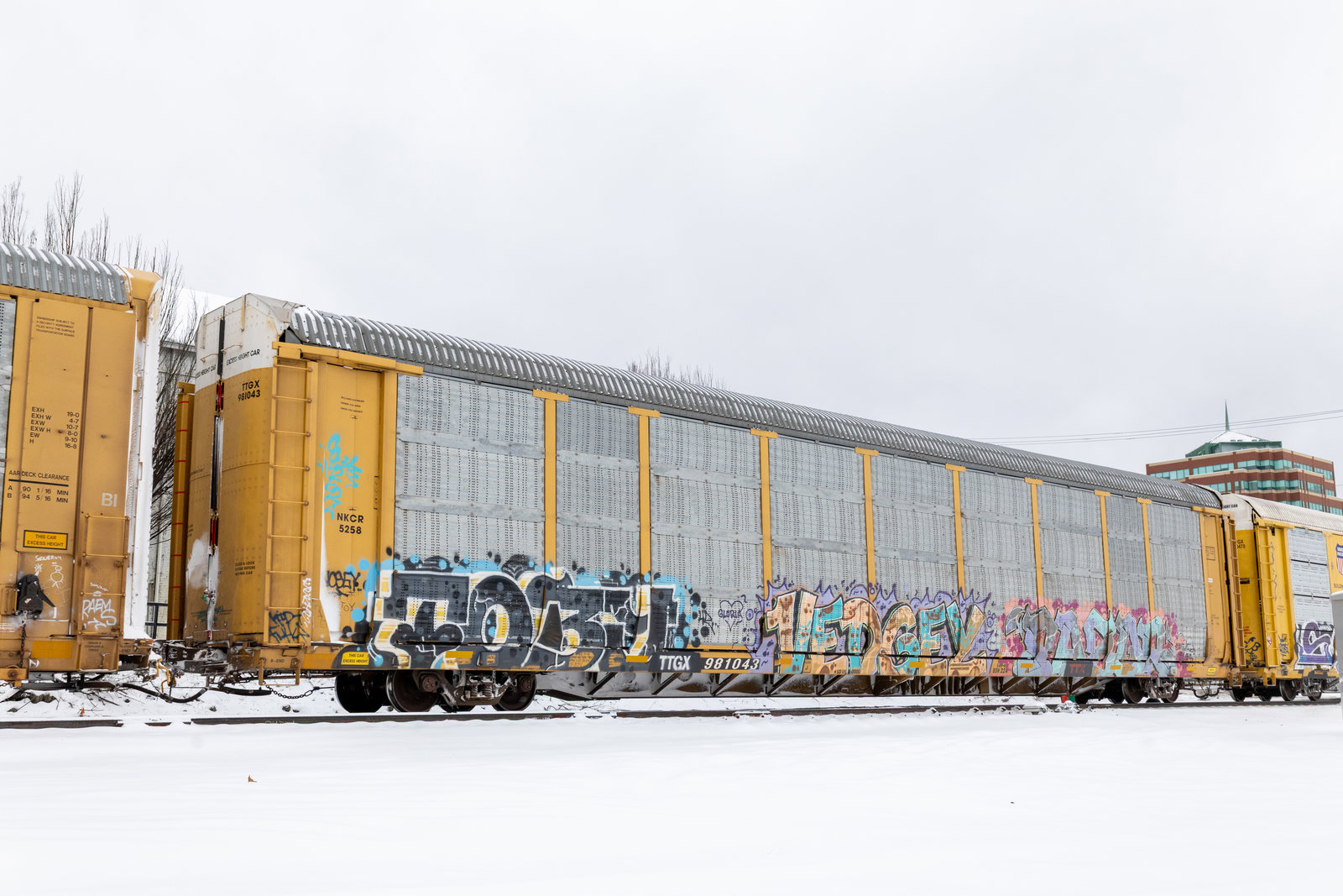 TTGX 981043