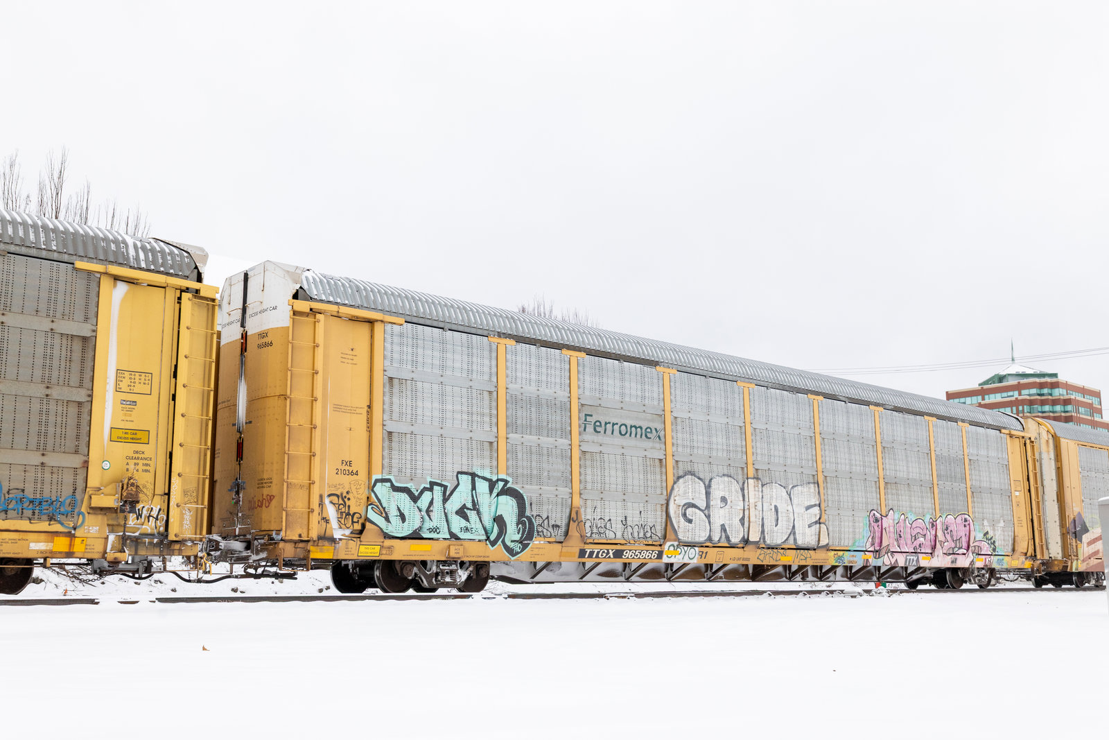 TTGX 965866