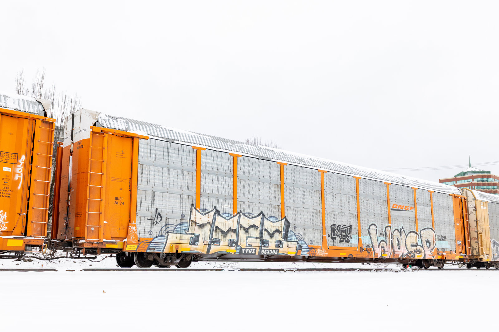 TTGX 953305