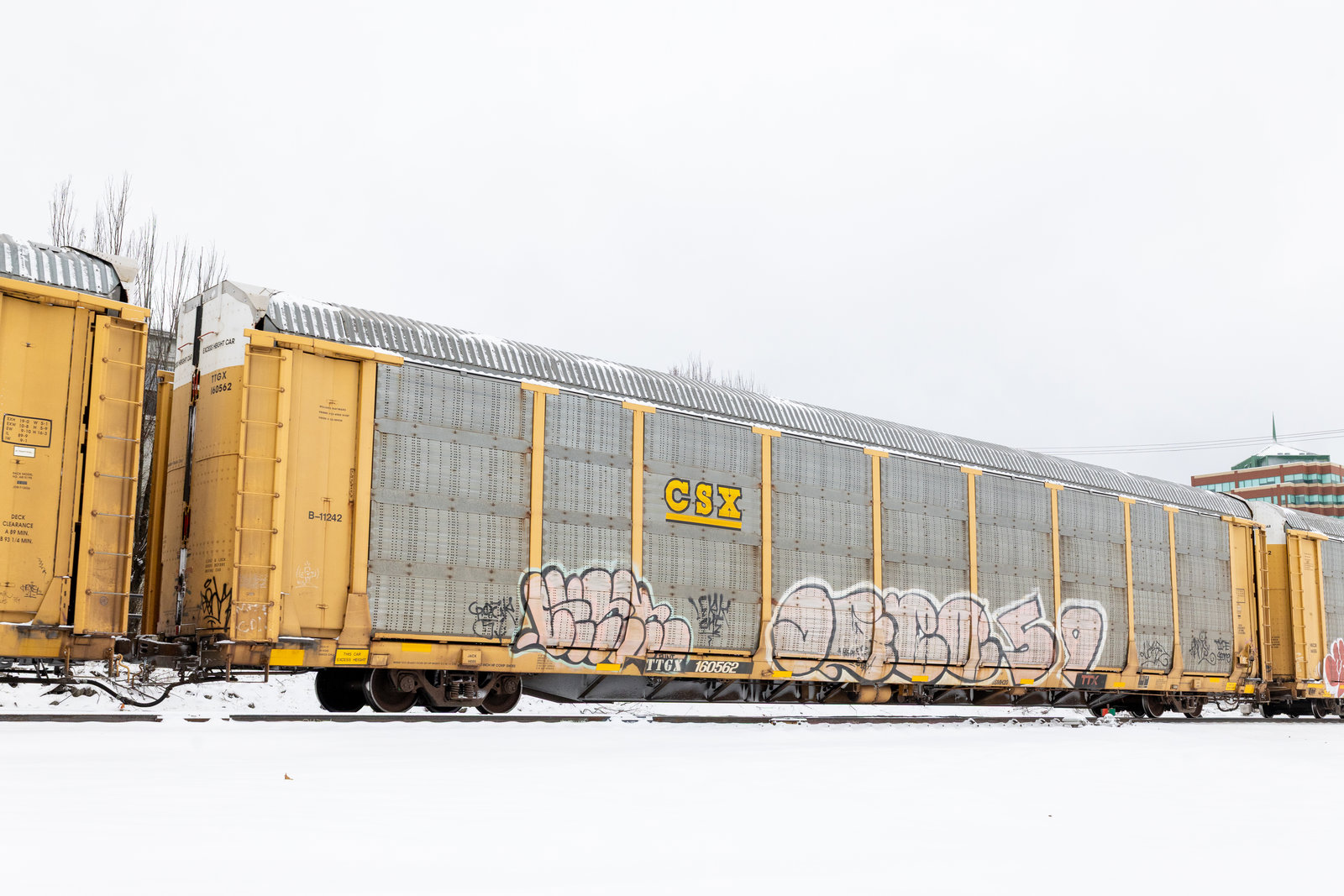 TTGX 160562