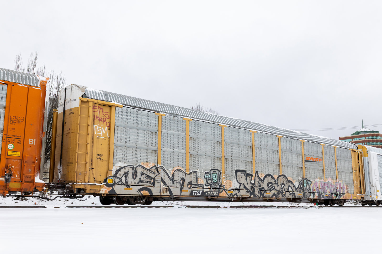 TTGX 704782