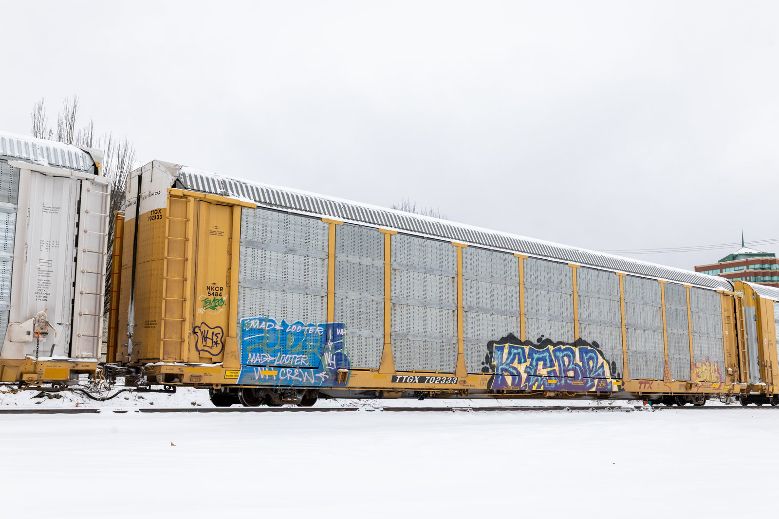 TTGX 702333
