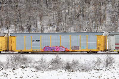 TTGX 989028