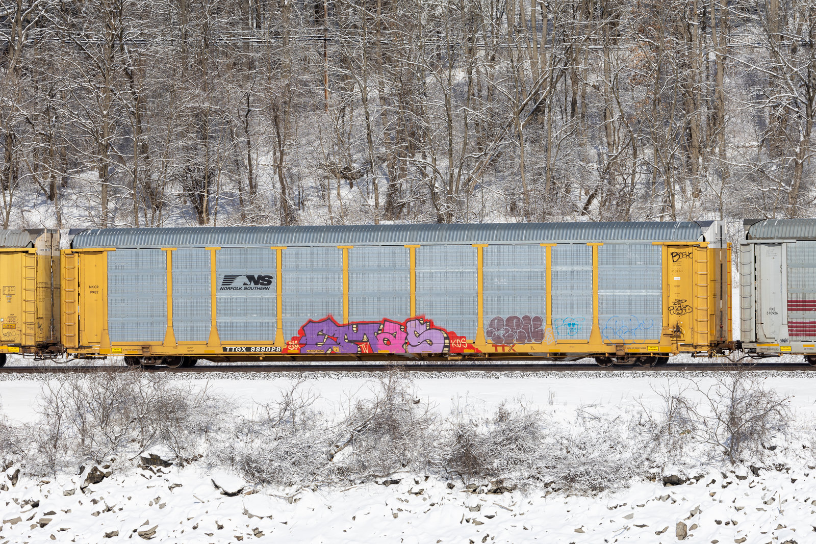 TTGX 989028