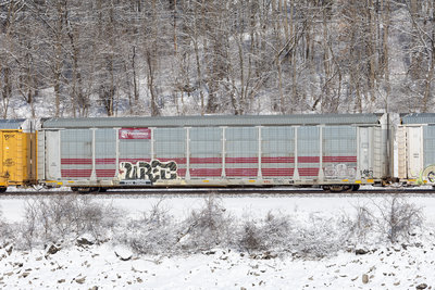 TTGX 705425