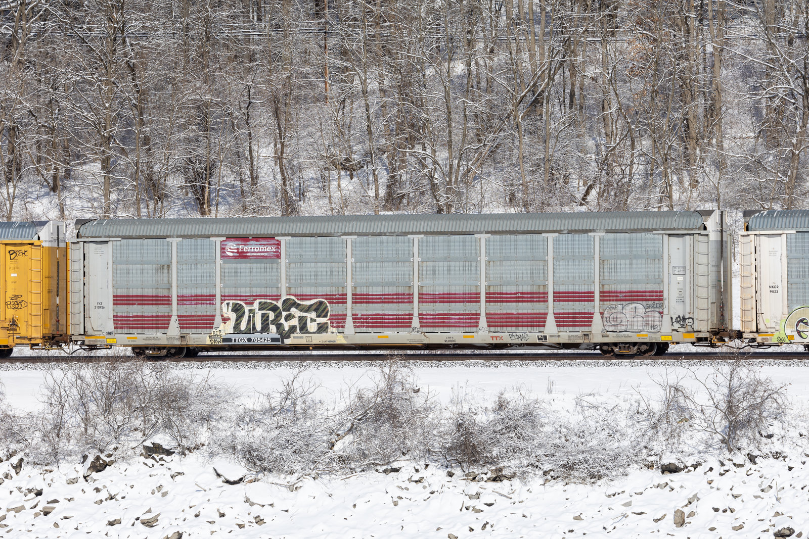 TTGX 705425