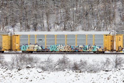 TTGX 971914